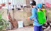 Phát hiện ổ dịch sốt xuất huyết tại Hà Tĩnh
