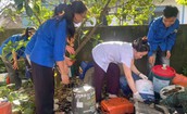Nghệ An: 49 ca sốt xuất huyết tại một xã, nguy cơ dịch lan rộng