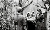 Giữ mạch sống giữa rừng xanh