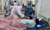 Kết quả xét nghiệm mẫu vụ hơn 40 người nhập viện sau khi ăn bánh mì