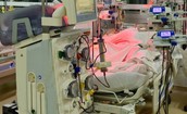 Nữ sinh 16 tuổi và cuộc chiến sinh tử với chi phí gần 1 tỷ đồng