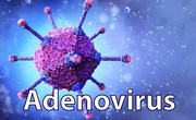Kh&#244;ng x&#233;t nghiệm tr&#224;n lan Adenovirus ở trẻ em