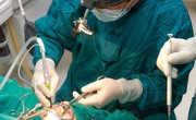 Chi ph&#237; cắt amidan của người d&#226;n c&#243; được bảo hiểm y tế chi trả kh&#244;ng?