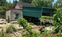 Ph&#225;t hiện thi thể 2 mẹ con đang ph&#226;n hủy tại nh&#224; ri&#234;ng