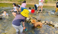 Trại h&#232;, c&#225;c kh&#243;a học ngắn hạn nở rộ, phụ huynh đau đầu lựa chọn