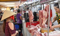 Gi&#225; lương thực, thực phẩm giảm khiến chỉ số gi&#225; ti&#234;u d&#249;ng th&#225;ng 3 giảm 0,23%