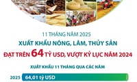 11 tháng năm 2025: Xuất khẩu nông, lâm, thủy sản đạt trên 64 tỷ USD, vượt kỷ lục năm 2024