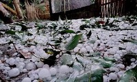 Miền Bắc mưa d&#244;ng do kh&#244;ng kh&#237; lạnh tiếp tục tăng cường