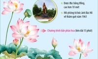 Lễ hội L&#224;ng Sen năm 2025