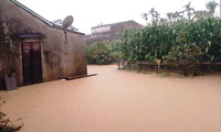 B&#227;o số 1 tăng th&#234;m cường độ, miền Trung mưa lũ lớn nhất trong 30 năm