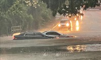 Lũ lụt tại Texas l&#224;m &#237;t nhất 10 người tử vong