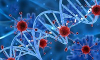 Nga bắt đầu thử nghiệm l&#226;m s&#224;ng vaccine ung thư