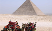 Phát hiện chấn động hé lộ danh tính những người xây Đại Kim tự tháp Ai Cập
