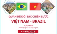 Quan hệ Đối tác chiến lược Việt Nam-Brazil