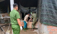 Dịch tả lợn ch&#226;u Phi ở Huế xảy ra cục bộ, khuyến c&#225;o chăn nu&#244;i an to&#224;n sinh học