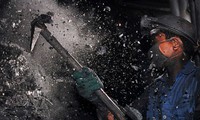 Tai nạn lao động khiến hai c&#244;ng nh&#226;n ng&#224;nh than tử vong