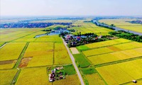 Trường hợp được miễn giảm tiền sử dụng đất, tiền thu&#234; đất từ 1/10/2025