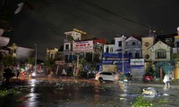 D&#244;ng lốc ở Ninh B&#236;nh khiến 9 người tử vong, 18 người bị thương