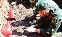 Tìm thấy 800 hài cốt liệt sĩ tại Công viên Lê Thị Riêng, 324 trường hợp có di vật