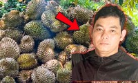 Cháu ruột phun thuốc diệt cỏ phá vườn sầu riêng của chú vì mâu thuẫn 