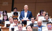 ĐBQH ủng hộ ngưỡng doanh thu 10 tỷ đồng/năm áp dụng tính thuế đơn giản