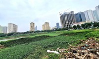 Đề xuất đánh thuế đất bỏ hoang gấp 7 lần đất ở trong hạn mức