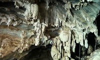 Hang động nhiều tầng nhũ đá được phát hiện giữa rừng Nghệ An