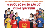 Bầu cử Quốc hội và HĐND: 6 bước bỏ phiếu bầu cử đúng quy định