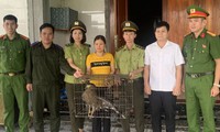 Người dân tự nguyện giao nộp 2 cá thể động vật quý hiếm
