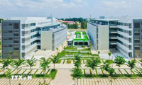 Thành lập phân hiệu, sáp nhập một số trường cao đẳng vào đại học