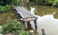 Nhóm đối tượng trộm 4 nhịp cầu đá cổ ở Hải Phòng khai gì?