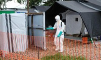 Dịch Ebola: Bệnh nhân cuối cùng xuất viện, Uganda đếm ngược đến ngày hết dịch