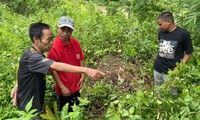 Thông tin về phần mộ nữ liệt sĩ nằm trên nước bạn Lào