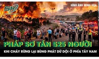 Pháp sơ tán khẩn cấp 525 người khi cháy rừng lại bùng phát dữ dội ở phía Tây Nam