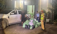 Phát hiện xe bán tải vận chuyển 220 bình khí cười ở Móng Cái
