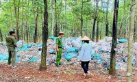 Chủ cơ sở nhựa đem gần 8,5 tấn chất thải đổ vào rừng cao su