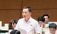 ĐBQH: Cần đưa kinh doanh kim cương vào ngành, nghề đầu tư kinh doanh có điều kiện