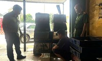 Thu giữ nhiều loài chim quý hiếm tại nhà dân