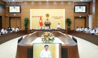 Sửa Luật Điện lực: Không để phát sinh cơ chế xin – cho, lợi ích nhóm