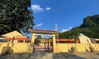 Bổ nhiệm hiệu trưởng sau sáp nhập gây xôn xao, Nghệ An yêu cầu rà soát