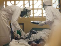 Bệnh Ebola và sốt xuất huyết khác gì nhau?