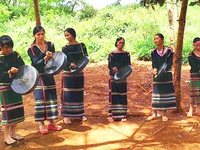 Lời cầu hôn chốn đại ngàn