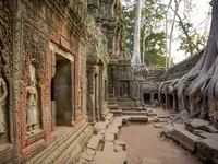 Khám phá thành phố thời Trung cổ trong lòng đất Angkor