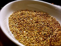Hạt kê chữa bệnh