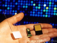 Chip siêu nhỏ  giám định ADN