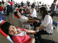 Hành trình Đỏ 2014 dự kiến thu được ít nhất 19.000 đơn vị máu