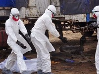 Khử trùng lưu động để phòng chống dịch Ebola