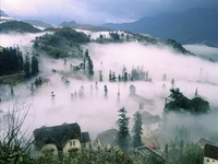 Tam Đảo - Nỗi niềm trong sương bay