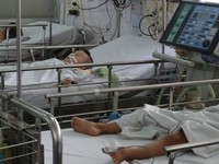 Bùng phát viêm não Nhật Bản B ở Sơn La, 10 trẻ tử vong