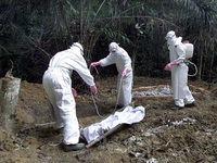 WHO hạn chế quyền di chuyển đối với người nhiễm Ebola